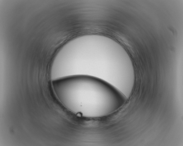 X0000114230362200910091333