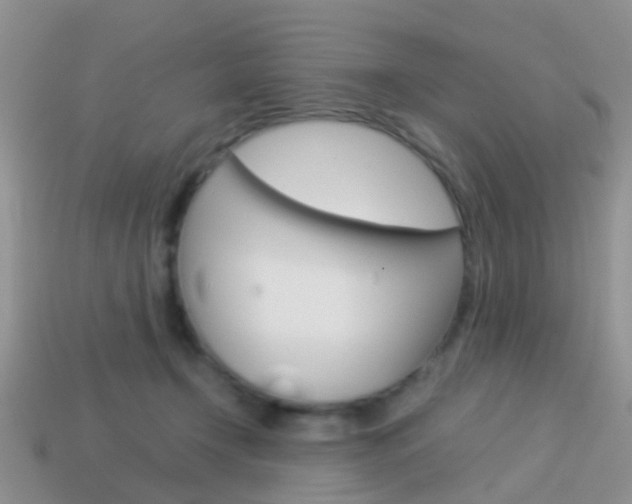 X0000114230366200910091333