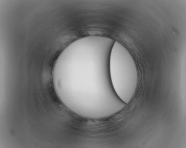 X0000114230367200910091333