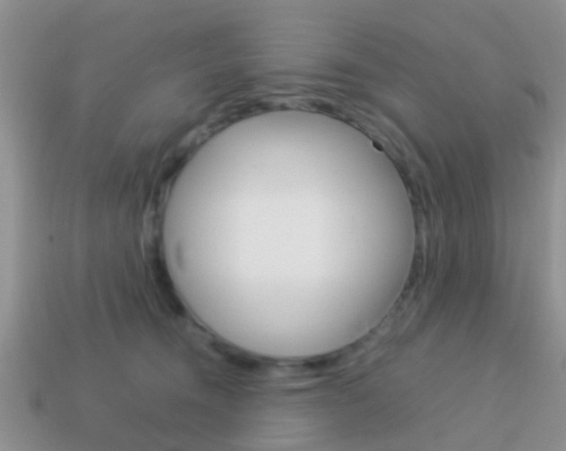 X0000114230372200910091333