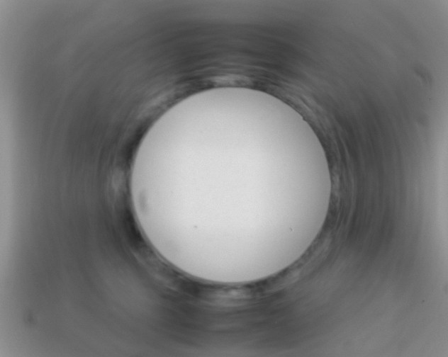 X0000114230375200910091333