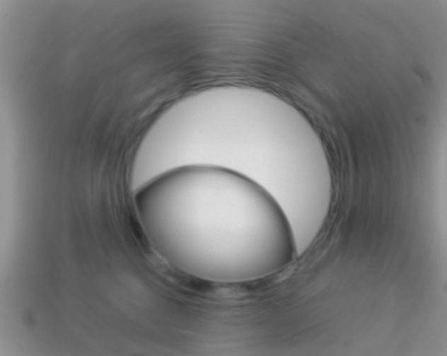 X0000114230376200910091333