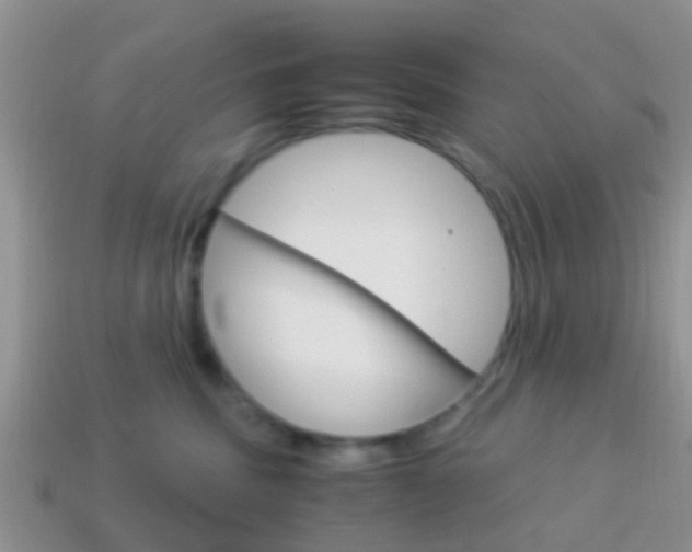 X0000114230379200910091333
