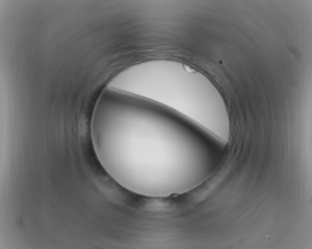 X0000114230380200910091333