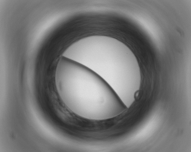 X0000114230383200910091333