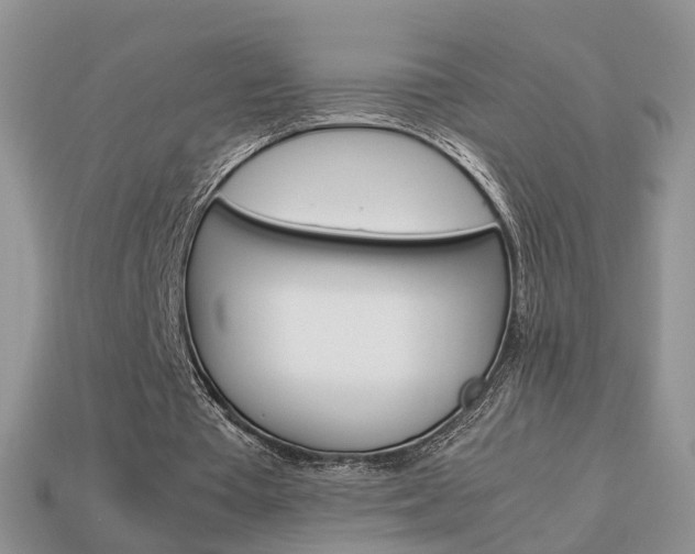 X0000114230385200910091332