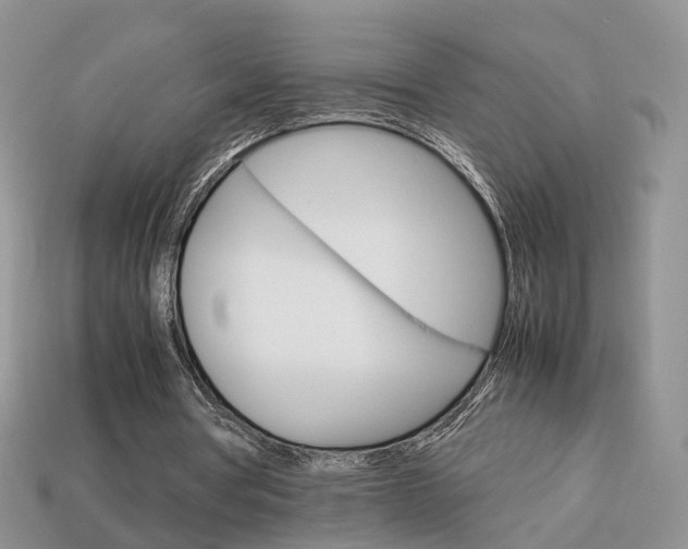 X0000114230386200910091332