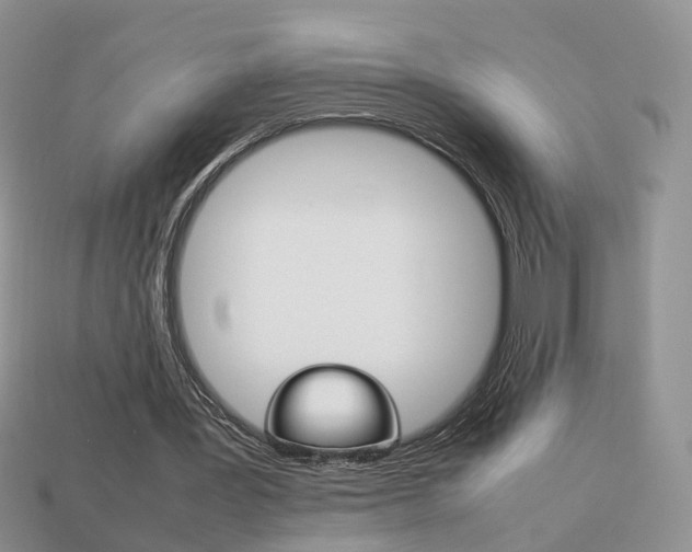 X0000114230387200910091332