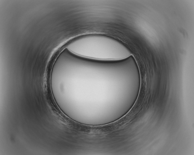 X0000114230388200910091332