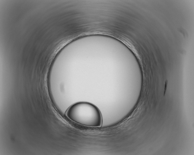 X0000114230389200910091332