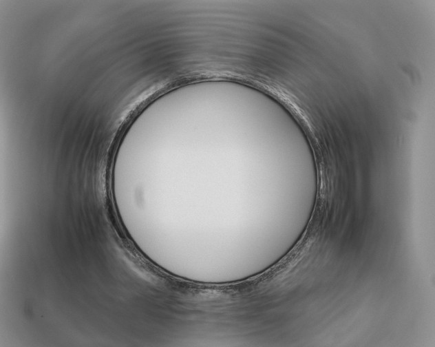 X0000114230390200910091332