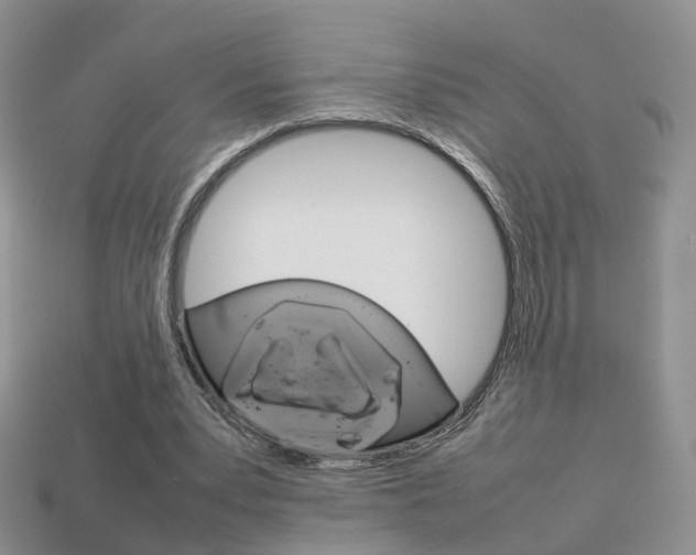 X0000114230391200910091332