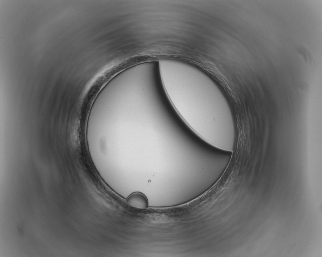 X0000114230392200910091332