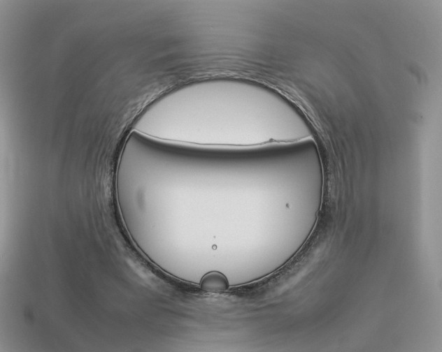 X0000114230393200910091332