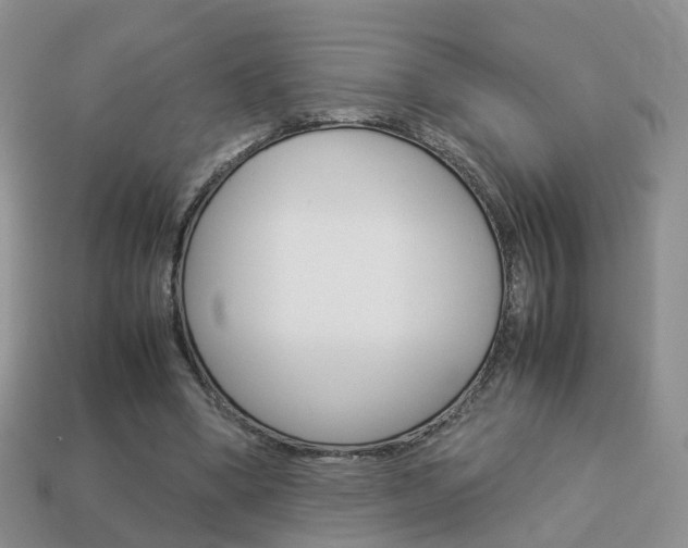 X0000114230394200910091332