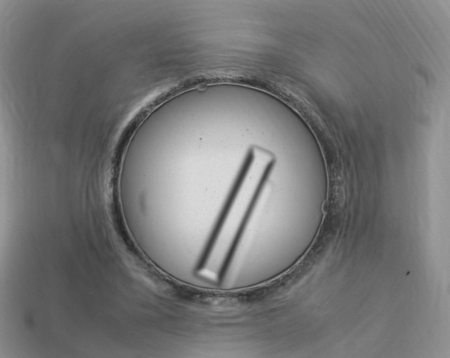 X0000114230395200910091332