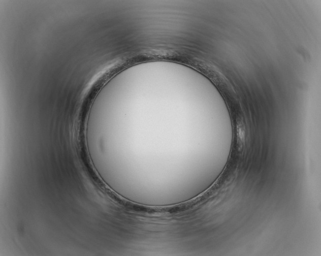 X0000114230396200910091332