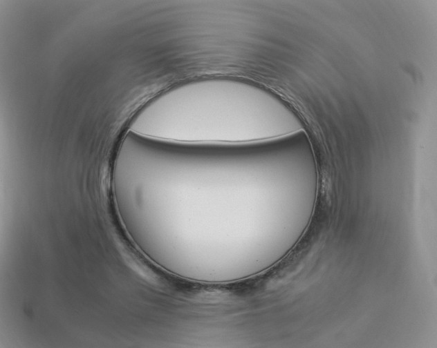 X0000114230397200910091332