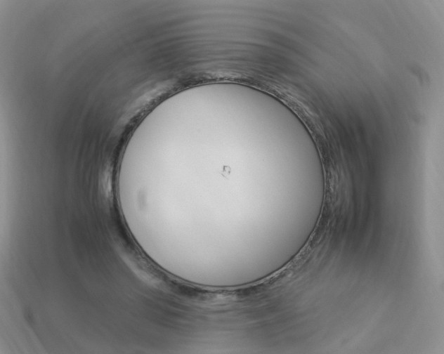 X0000114230398200910091332