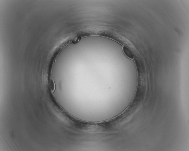 X0000114230399200910091332