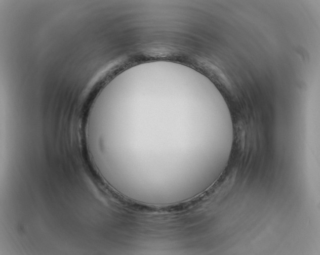 X0000114230400200910091332