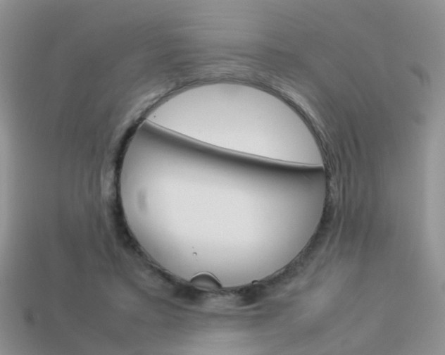 X0000114230403200910091332