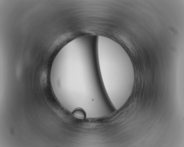 X0000114230404200910091332