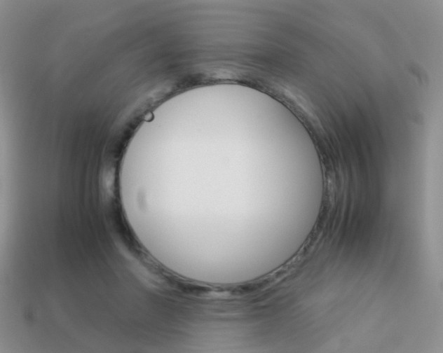 X0000114230406200910091332