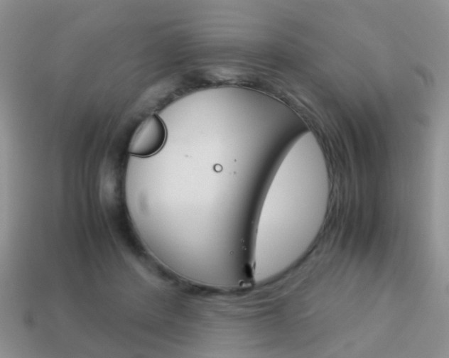 X0000114230408200910091332