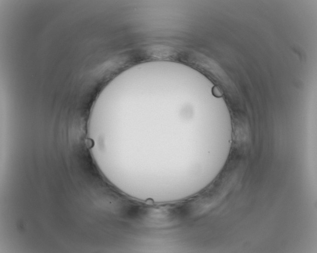 X0000114230411200910091332