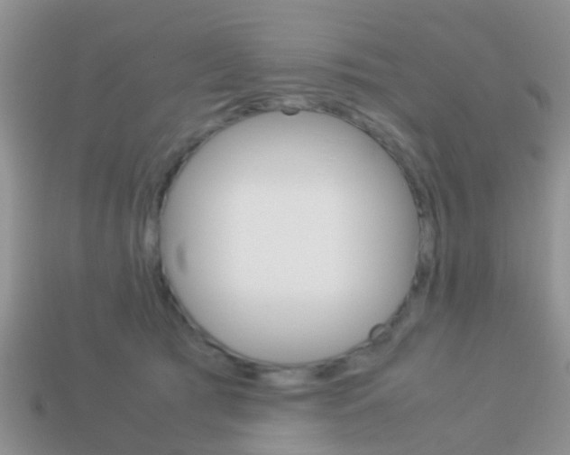 X0000114230417200910091332