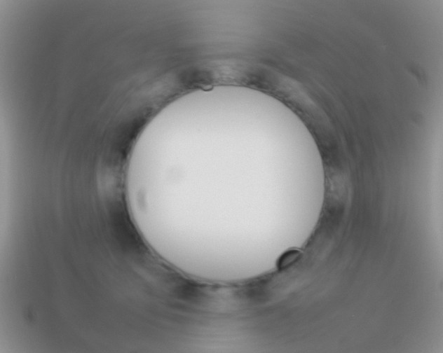 X0000114230419200910091332