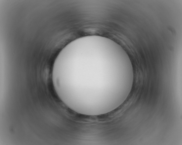 X0000114230420200910091332