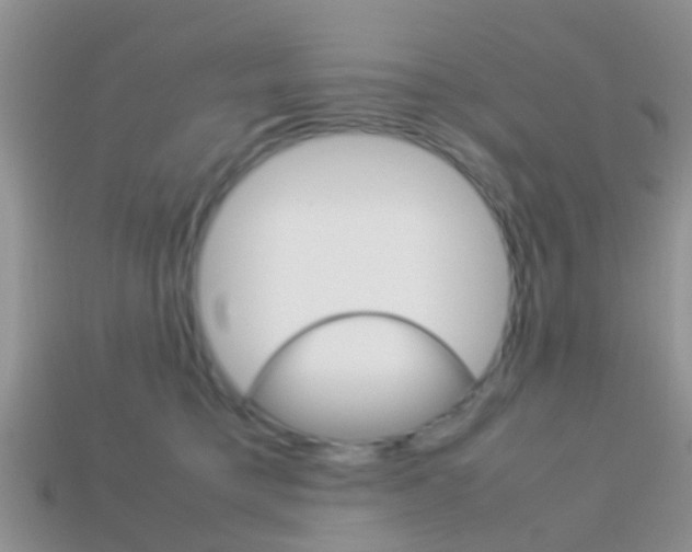 X0000114230421200910091332