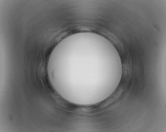 X0000114230422200910091332