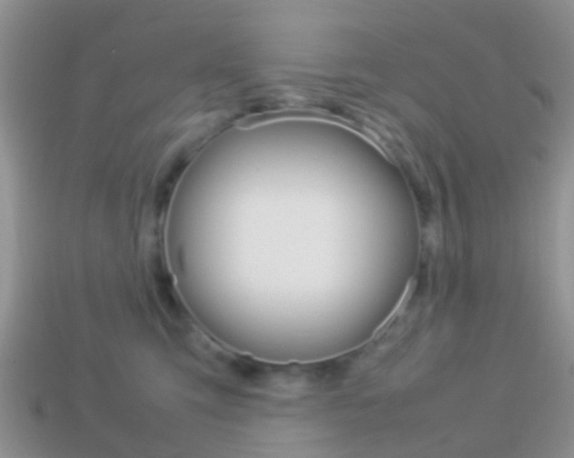 X0000114230423200910091332