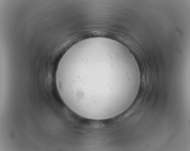 X0000114230424200910091332