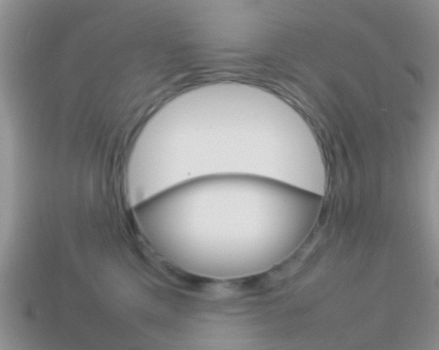 X0000114230425200910091332