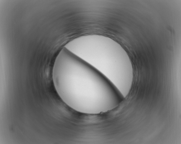 X0000114230428200910091332