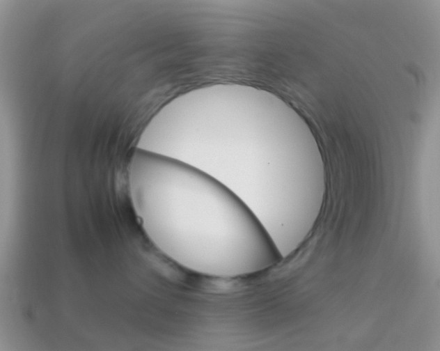 X0000114230432200910091332