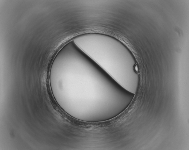 X0000114230434200910091331