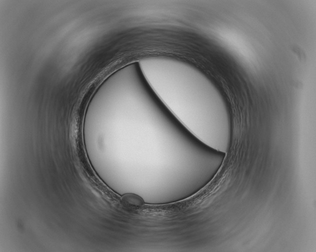 X0000114230435200910091331