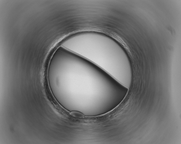 X0000114230436200910091331