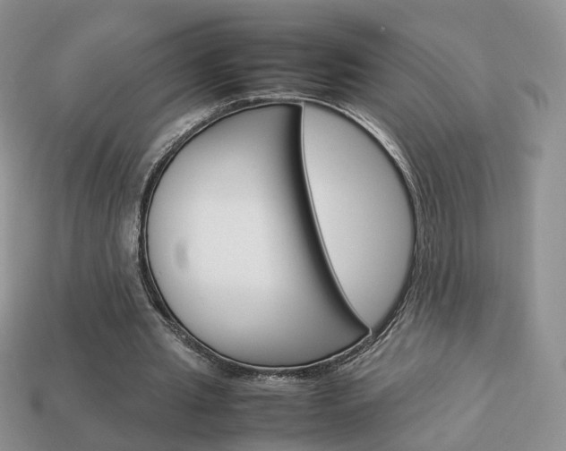 X0000114230437200910091331