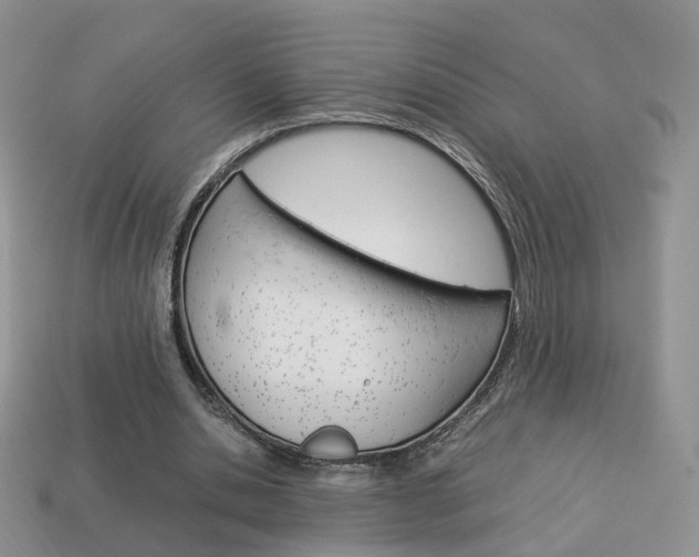 X0000114230438200910091331