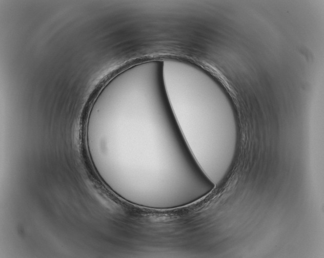 X0000114230439200910091331