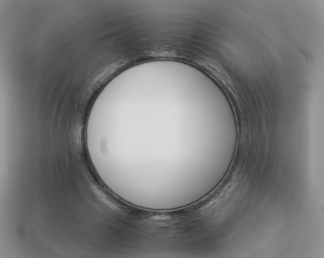 X0000114230441200910091331