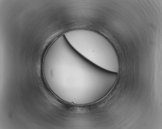X0000114230442200910091331