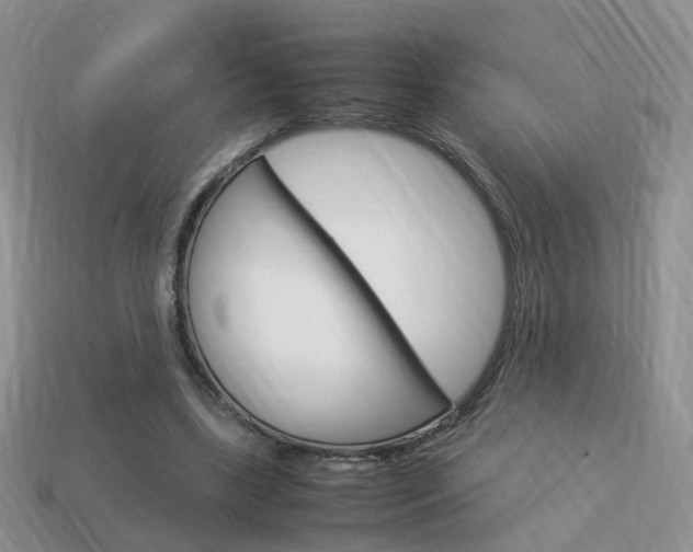 X0000114230443200910091331