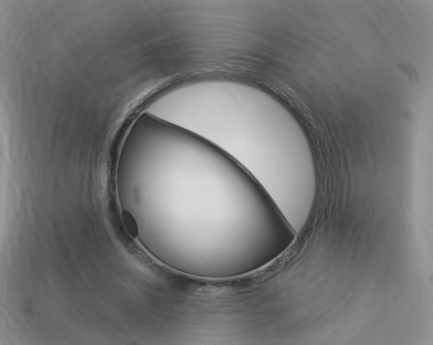 X0000114230444200910091331